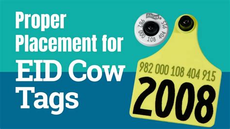 Choosing the Right EID Tags for Cattle 